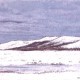 田村一男《白樺湖畔冬景》1982年