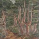 《松の木風景》1931年